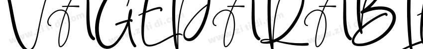 VAGEPARABLE Regular字体转换